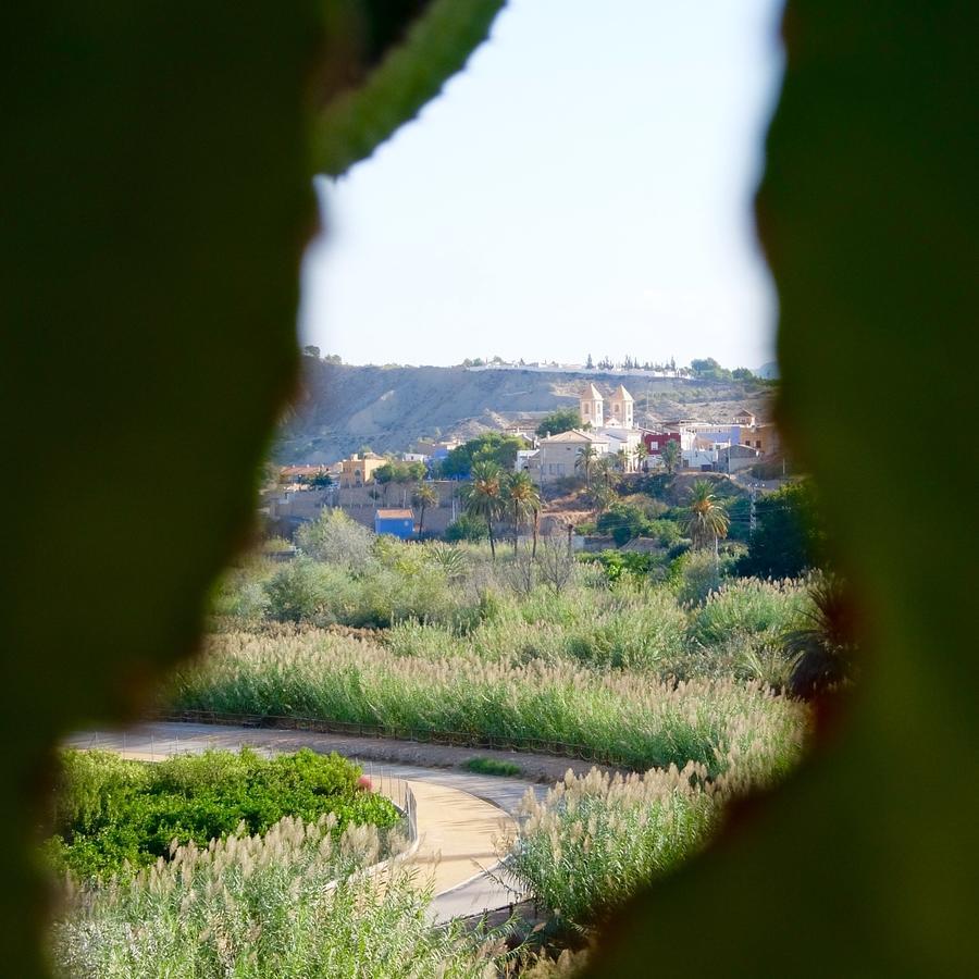 La Joya Del Valle De Ricote (Adults Only) Villanueva de Río Segura Exteriör bild